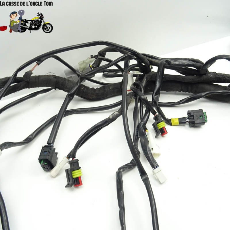 Faisceau éléctrique KTM 1290 Super Adventure S 2020 - CTM-11062-097