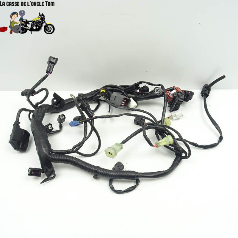 Faisceau éléctrique KTM 1290 Super Adventure S 2020 - CTM-11062-097