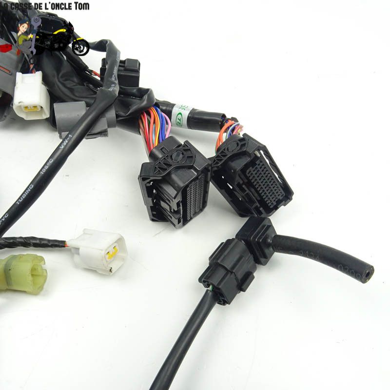 Faisceau éléctrique KTM 1290 Super Adventure S 2020 - CTM-11062-097