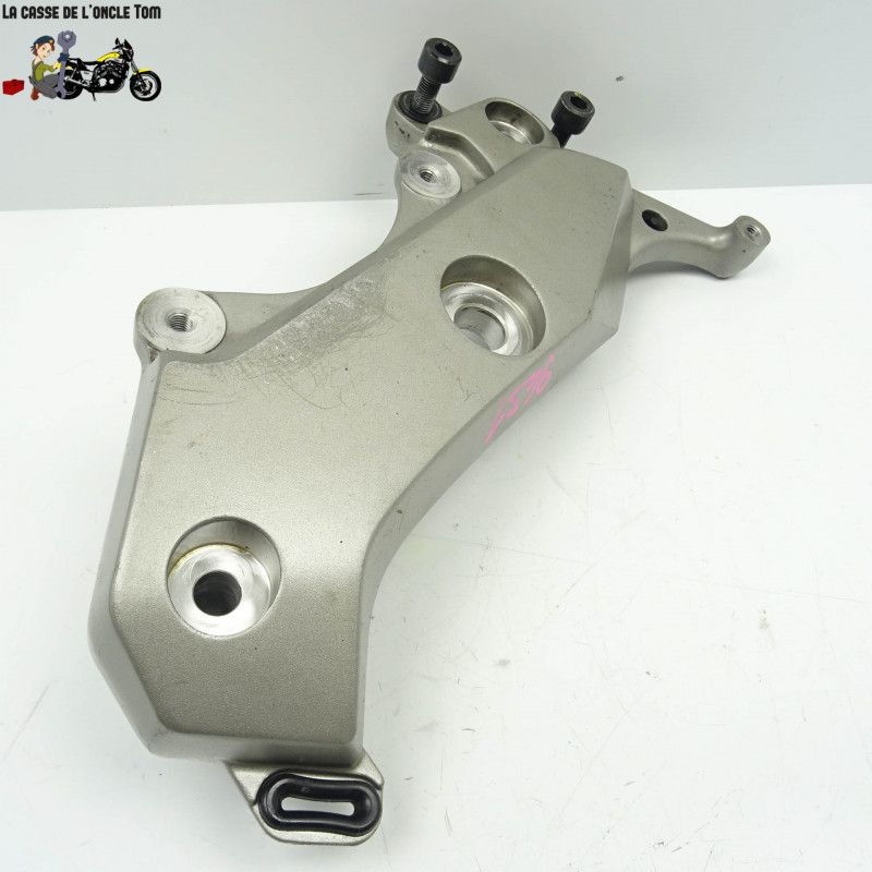 Support pivot gauche Honda 600 cbf hornet 2008 - Cassetom - Nos pièces motos