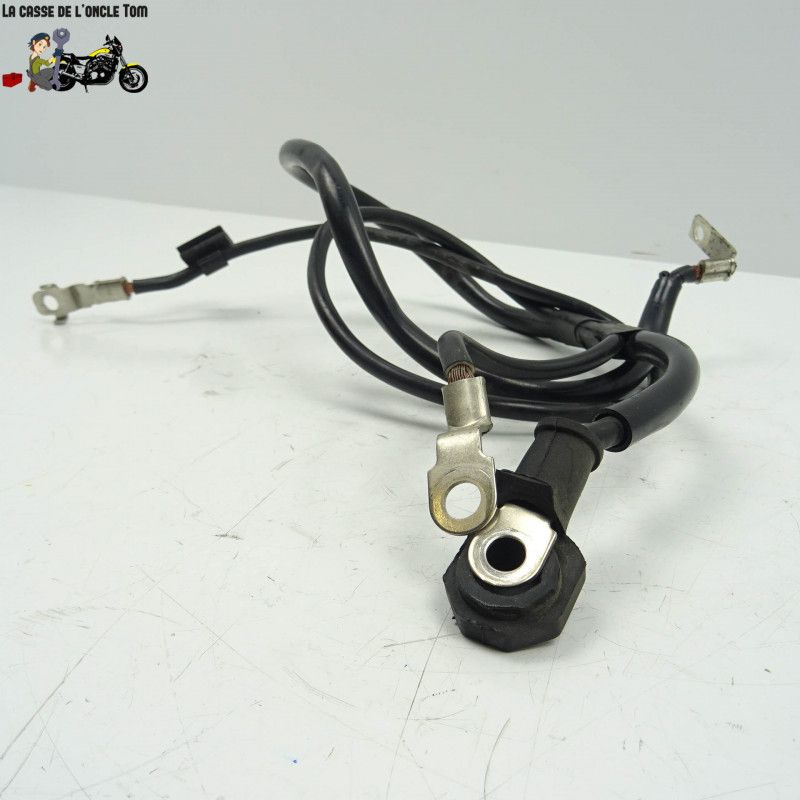 Câbles de batterie Honda 600 cbf hornet 2008 - Cassetom - Nos pièces motos