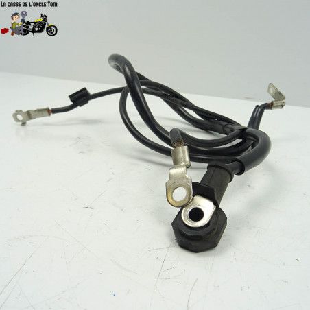 Câbles de batterie Honda 600 cbf hornet 2008 - CTM-9631-034