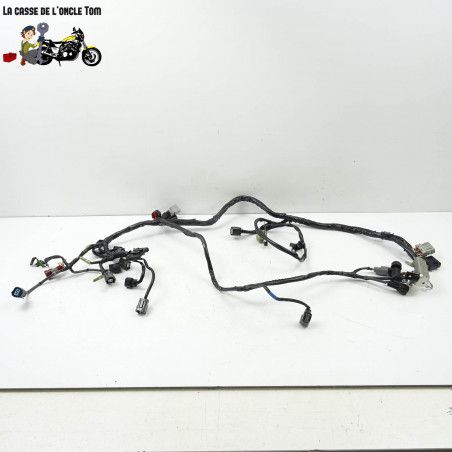 Faisceau électrique en 3 parties Honda 1000 cbf fa 2010 - CTM-10178-060