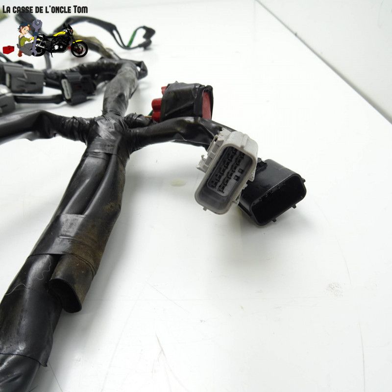 Faisceau électrique en 3 parties Honda 1000 cbf fa  2010 - CTM-10178-060