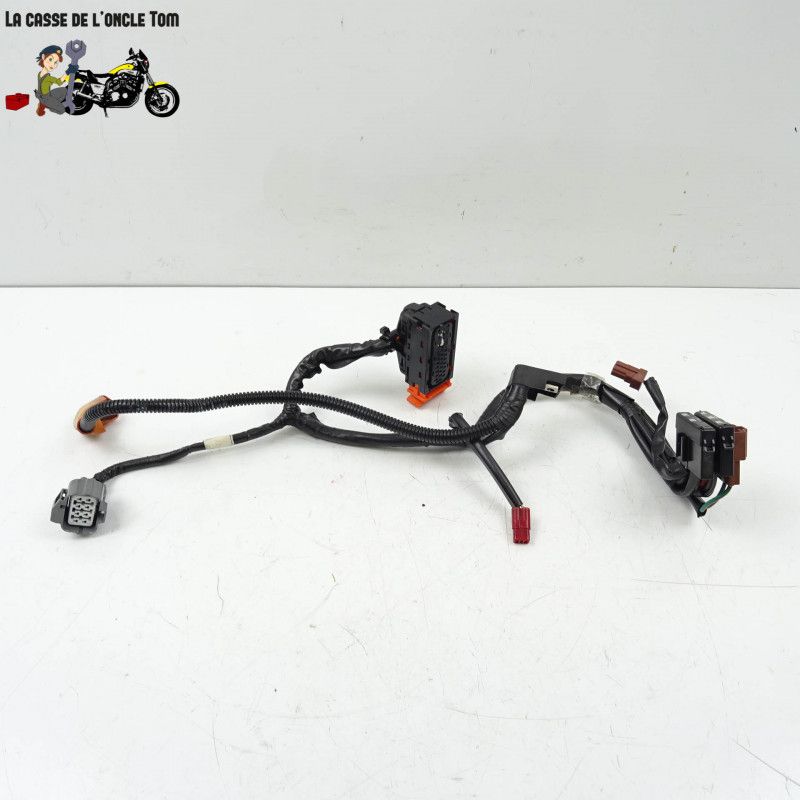 Faisceau électrique en 3 parties Honda 1000 cbf fa  2010 - CTM-10178-060