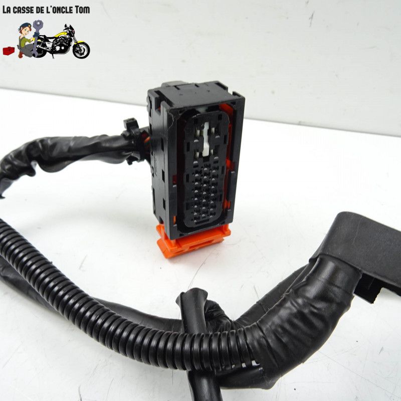 Faisceau électrique en 3 parties Honda 1000 cbf fa  2010 - CTM-10178-060