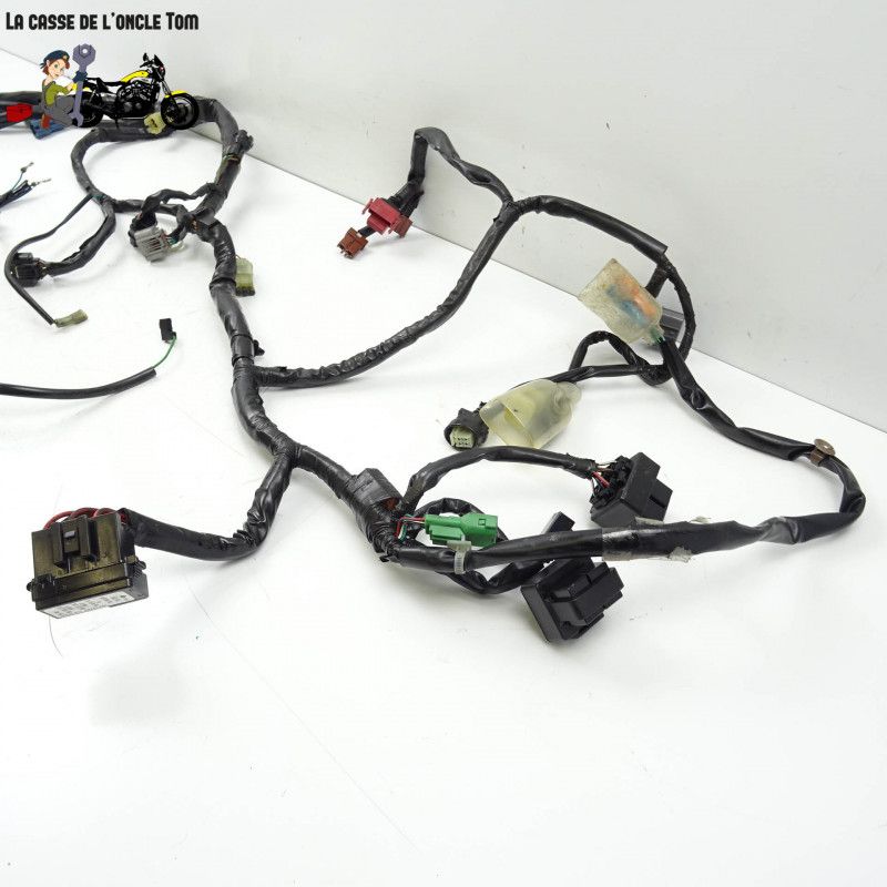 Faisceau électrique en 3 parties Honda 1000 cbf fa  2010 - CTM-10178-060