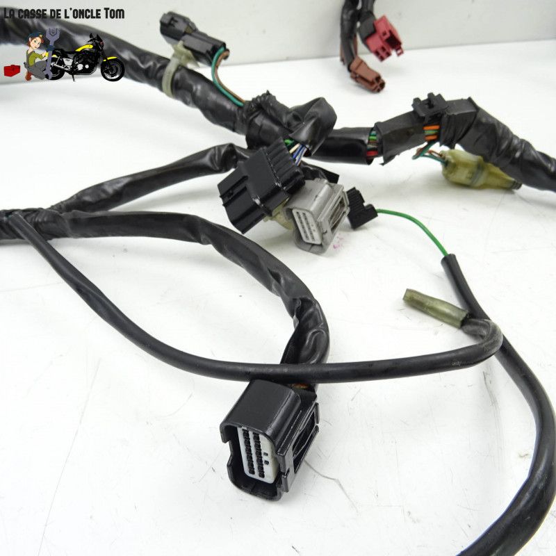 Faisceau électrique en 3 parties Honda 1000 cbf fa  2010 - CTM-10178-060