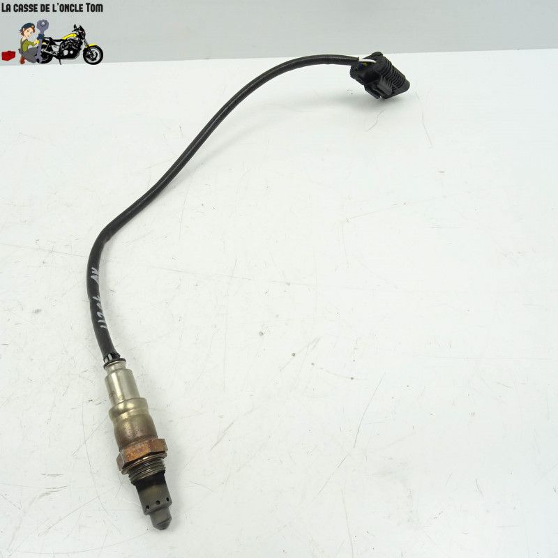 Sonde lambda avant BMW 1250 GS 2021 - Cassetom - Nos pièces motos