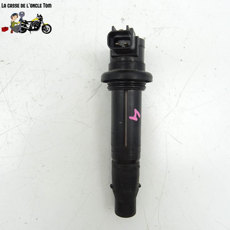 Bobine crayon  Yamaha 1000 Fz1 2006 - CTM-10999-055