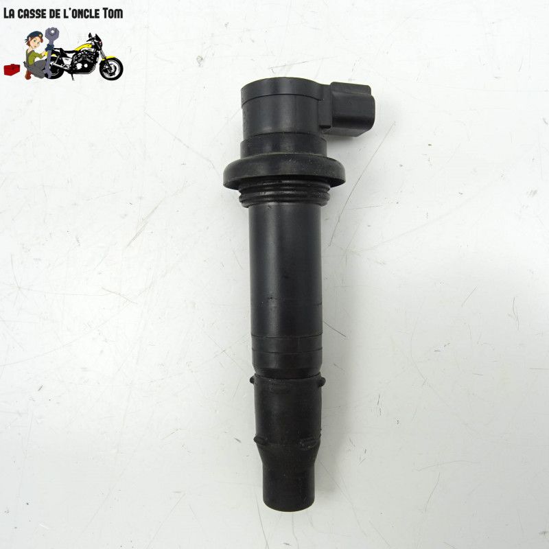 Bobine crayon  Yamaha 1000 Fz1 2006 - CTM-10999-055