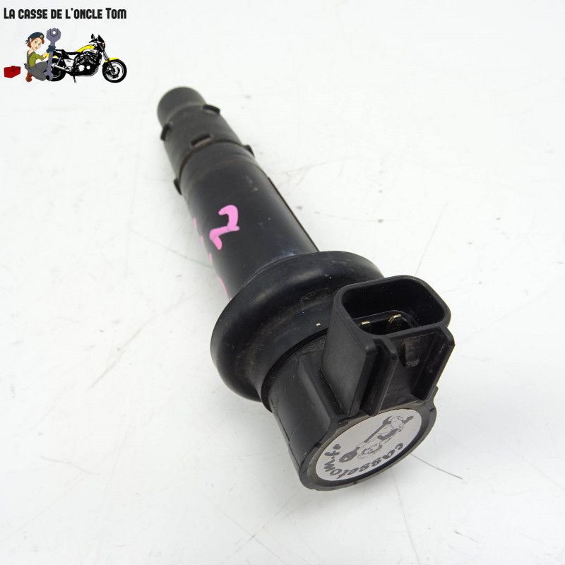 Bobine crayon  Yamaha 1000 Fz1 2006 - CTM-10999-053
