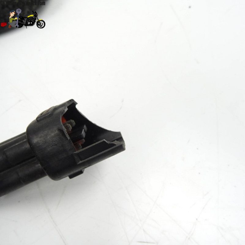 Faisceau électrique Suzuki 250 Inazuma 2012 - CTM-8561-067