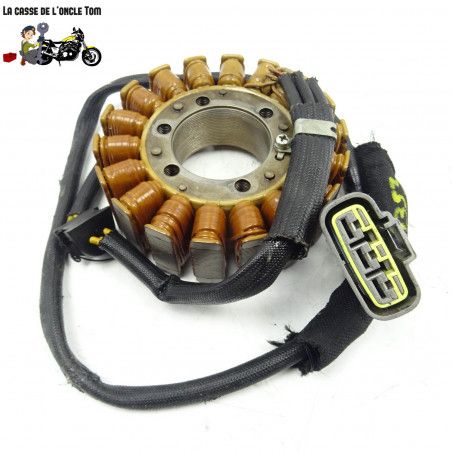 Stator Ducati 821 Monster 2016 - CTM-11353-017