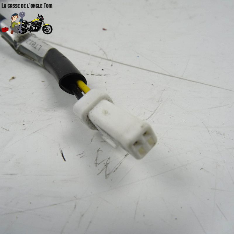 Éclairage de plaque Ducati 939 super sport 2017 - CTM-11259-035