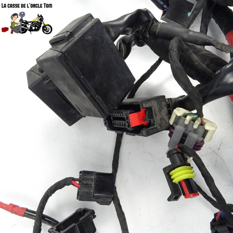 Faisceau électrique Ducati 939 super sport 2017 - CTM-11259-056