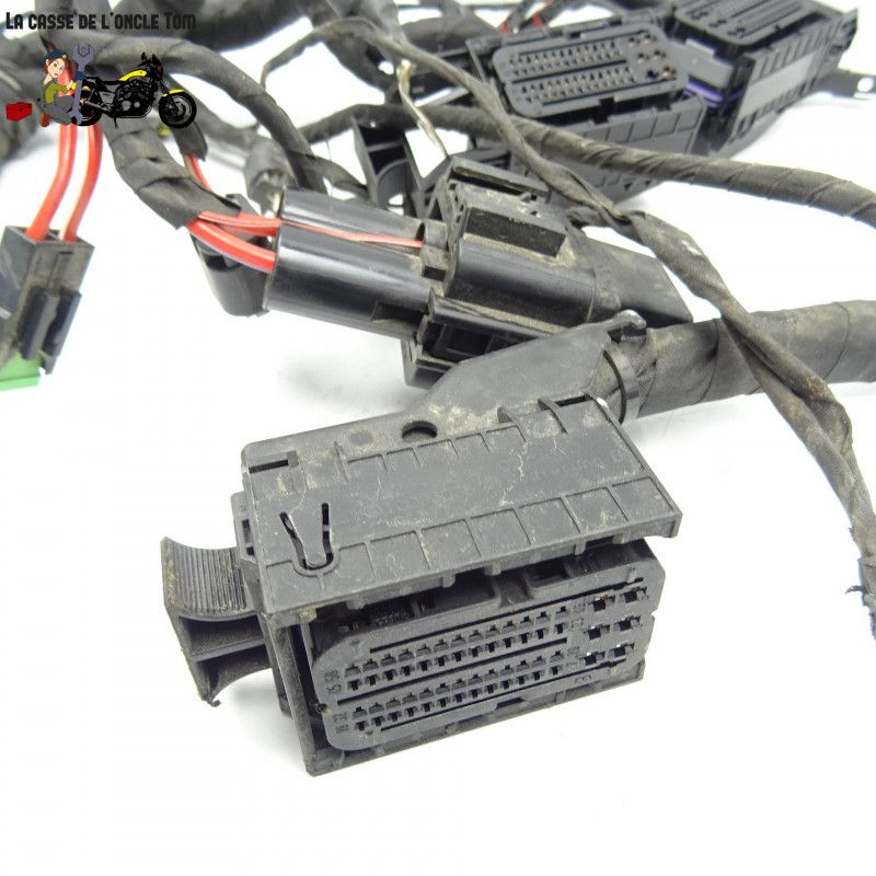 Faisceau électrique BMW 800 f 800 gs AD 2018 - CTM-11405-007