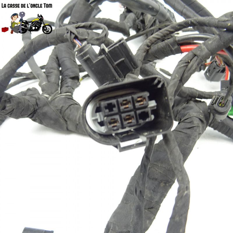 Faisceau électrique BMW 800 f 800 gs AD 2018 - CTM-11405-007