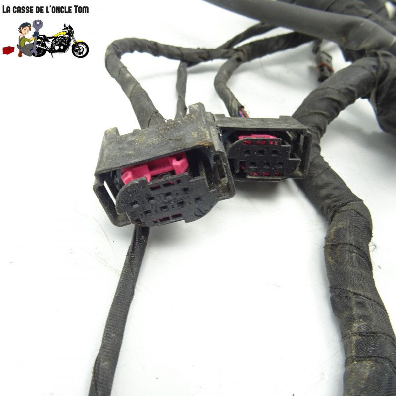 Faisceau électrique BMW 800 f 800 gs AD 2018 - CTM-11405-007