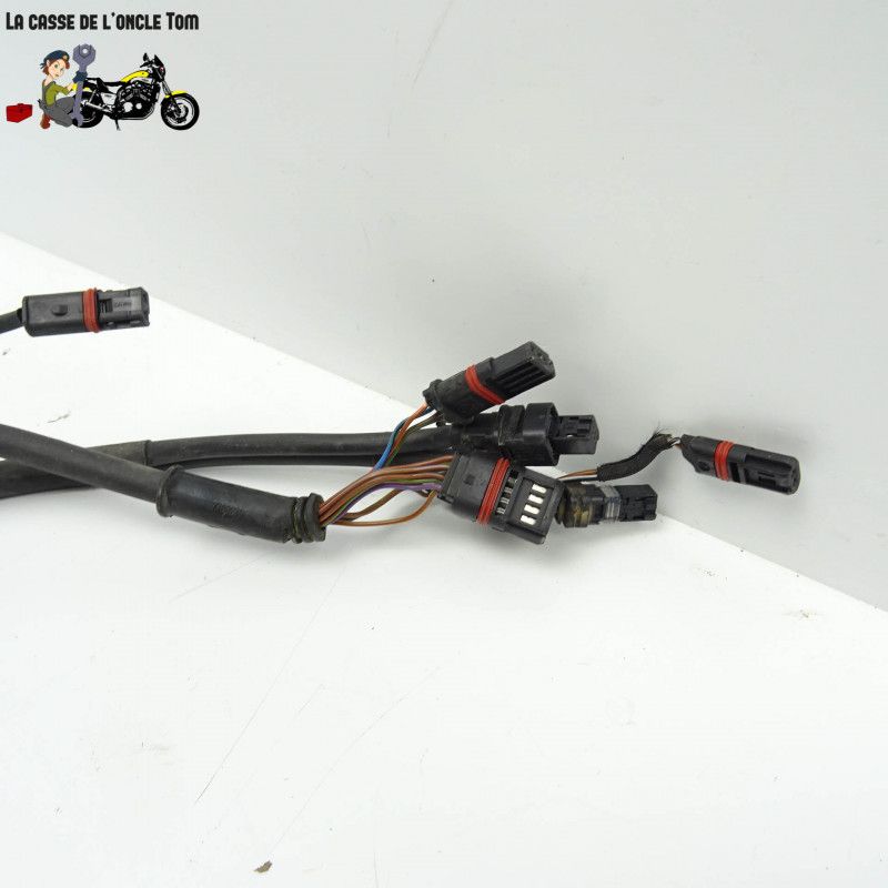 Faisceau électrique BMW 800 f 800 gs AD 2018 - CTM-11405-007