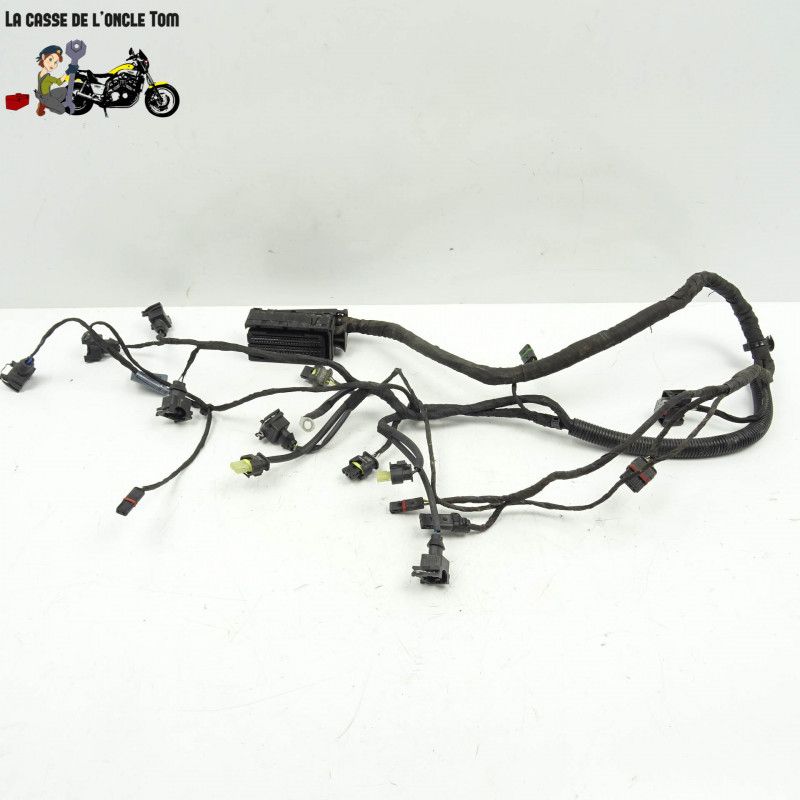 Faisceau électrique BMW 800 f 800 gs AD 2018 - CTM-11405-007