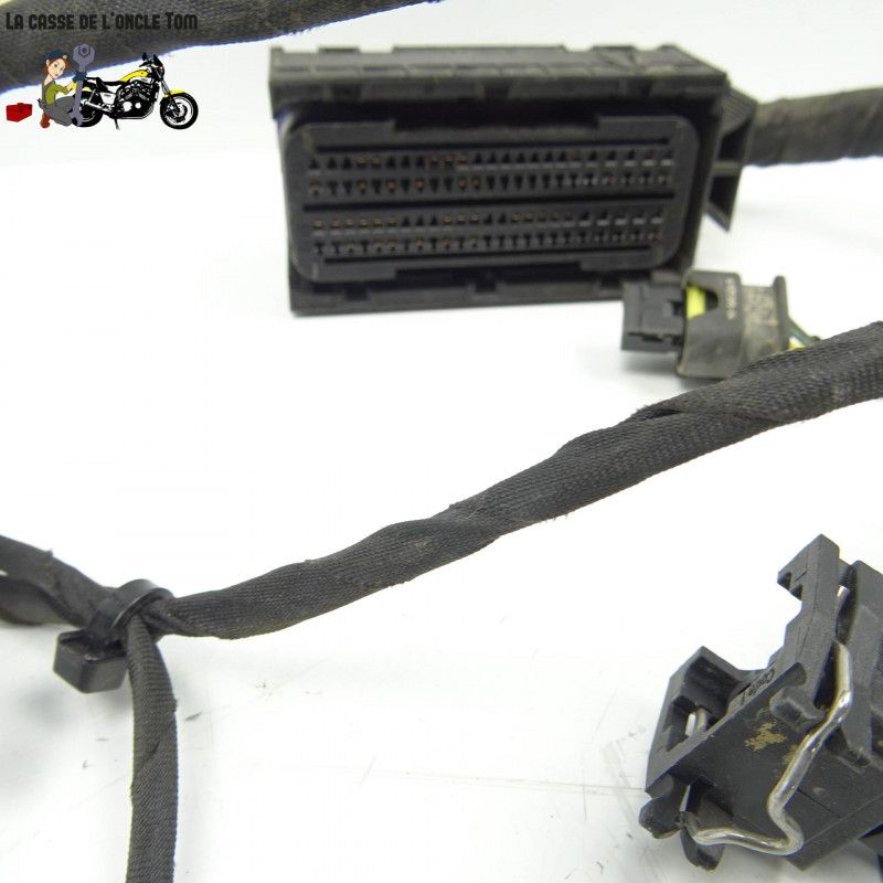 Faisceau électrique BMW 800 f 800 gs AD 2018 - CTM-11405-007