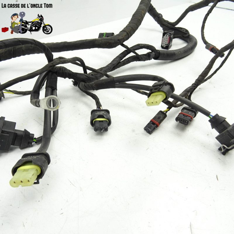 Faisceau électrique BMW 800 f 800 gs AD 2018 - CTM-11405-007