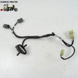 Faisceau d'injection Ducati 939 super sport 2017 - CTM-11259-064