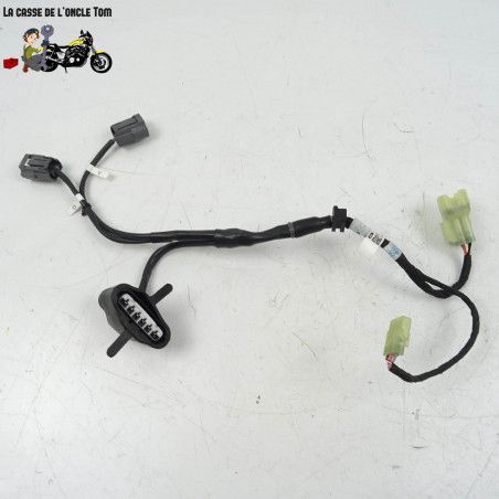 Faisceau d'injection Ducati 939 super sport 2017 - CTM-11259-064
