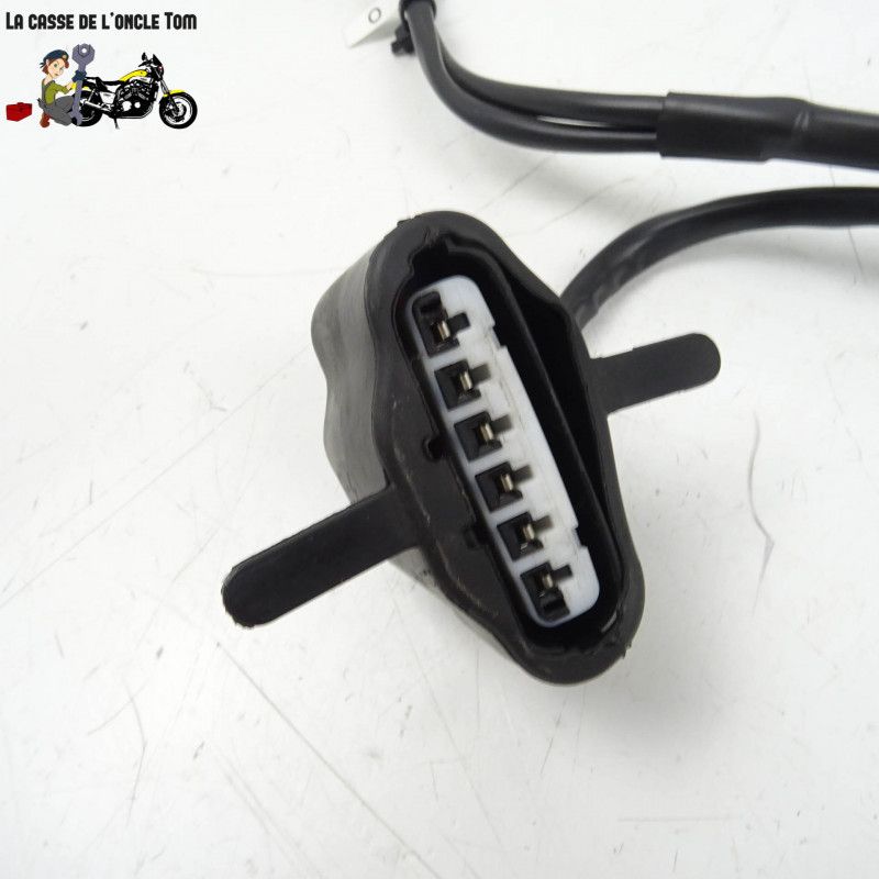 Faisceau d'injection Ducati 939 super sport  2017 - CTM-11259-064