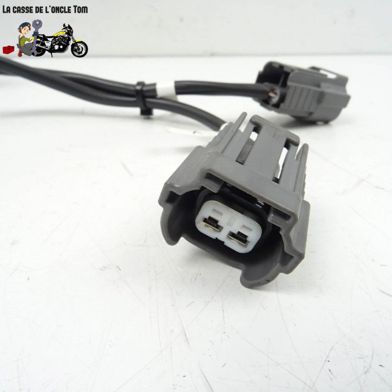 Faisceau d'injection Ducati 939 super sport  2017 - CTM-11259-064