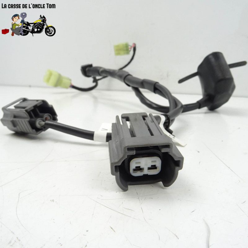 Faisceau d'injection Ducati 939 super sport  2017 - CTM-11259-064