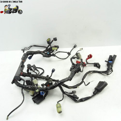 Faisceau électrique Honda 650 CB650F 2015 - CTM-9553-061