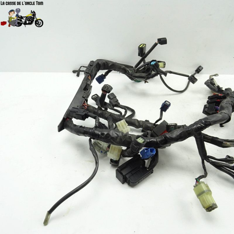 Faisceau électrique Honda 650 CB650F 2015 - CTM-9553-061