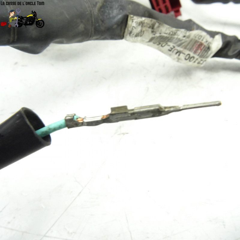 Faisceau électrique Honda 650 CB650F 2015 - CTM-9553-061