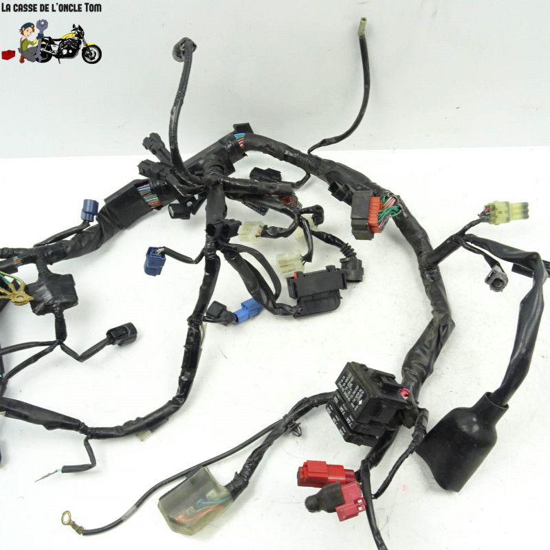 Faisceau électrique Honda 650 CB650F 2015 - CTM-9553-061