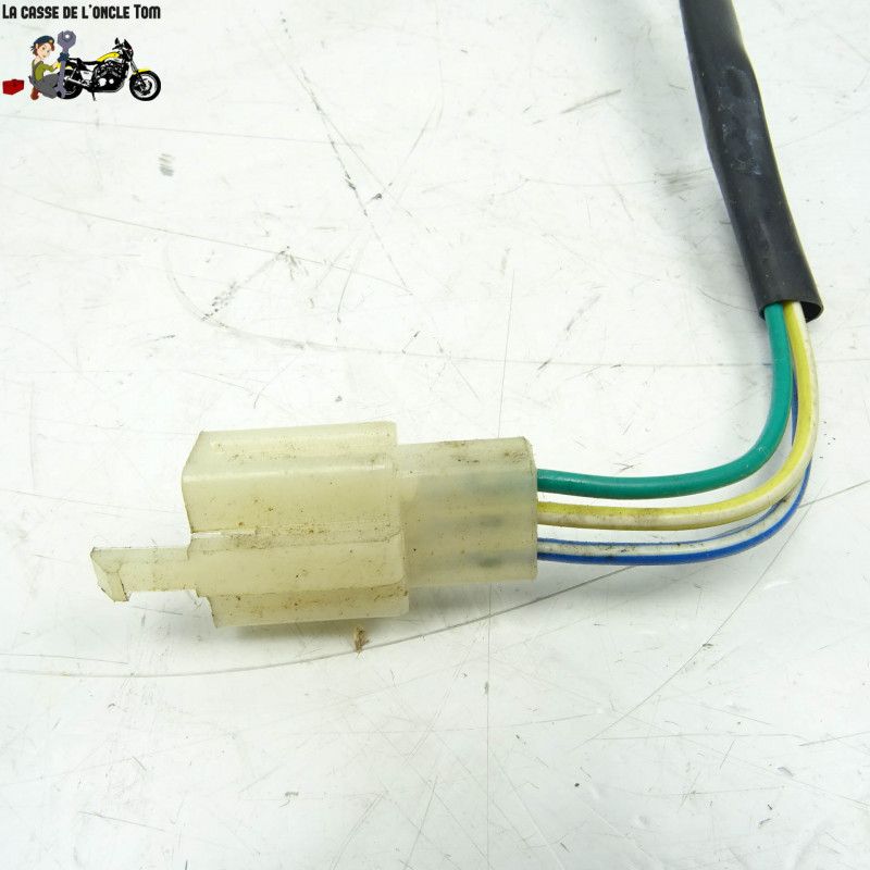 Jauge à essence TNT Motors 50 Roma 2014 - CTM-11389-016