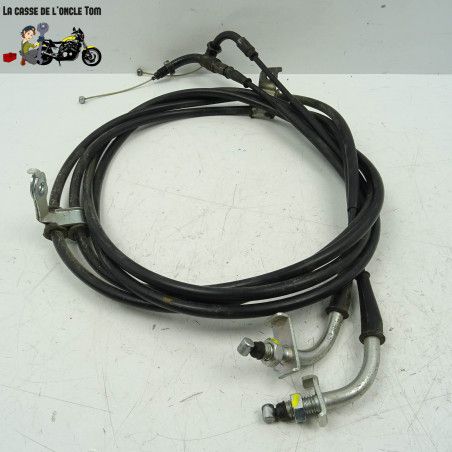 Câbles d'accélération Honda 125 Forza 2020 - CTM-11359-012