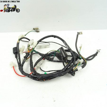 Faisceau électrique Peugeot 125 tweet 2016 - CTM-9488-046