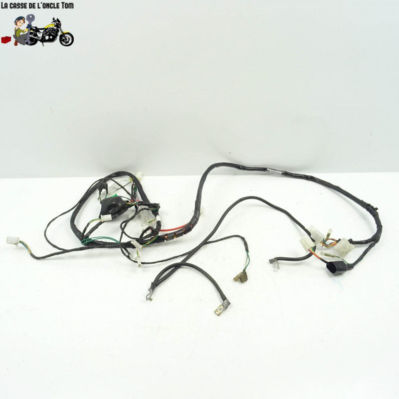 Faisceau électrique Peugeot 125 tweet  2016 - CTM-9488-046