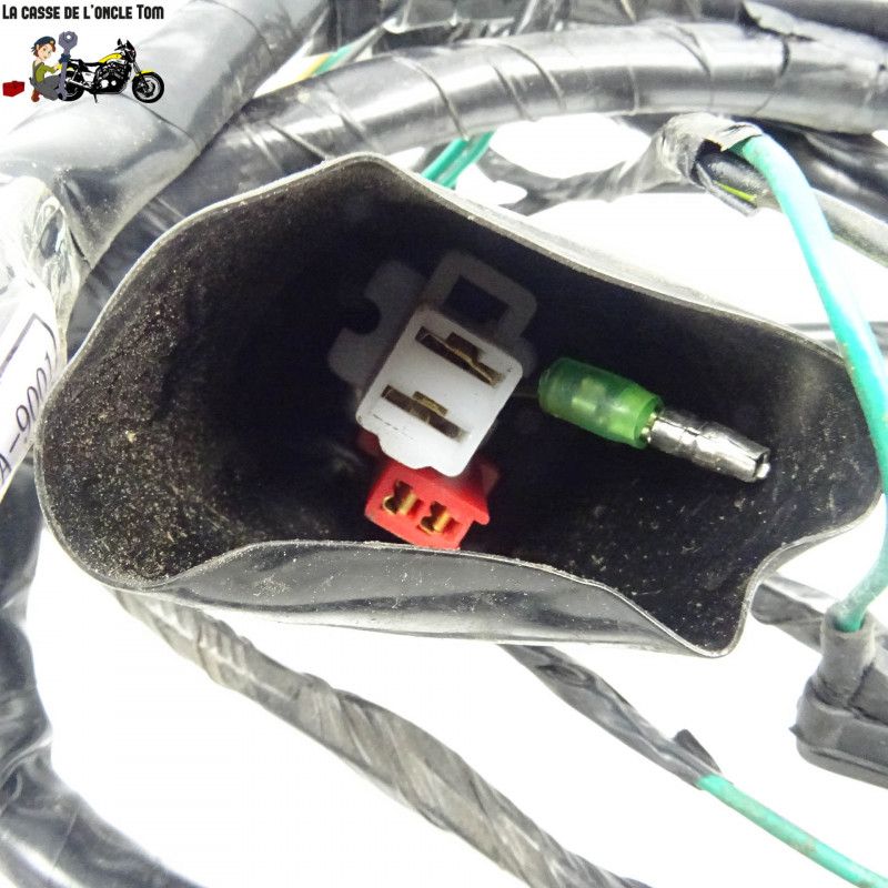 Faisceau électrique Peugeot 125 tweet  2016 - CTM-9488-046