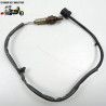 Sonde lambda Honda 500  cb fa 2015 - CTM-9549-031