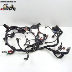 Faisceau électrique Honda 500 cb fa 2015 - CTM-9549-037