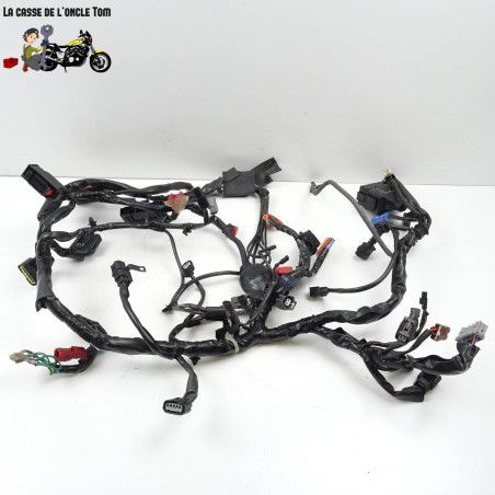 Faisceau électrique Honda 500 cb fa 2015 - CTM-9549-037
