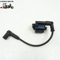Bobine d'allumage Ducati 796 Monster 2010 - CTM-11527-044