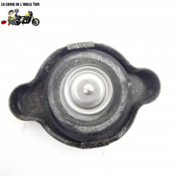 Bouchon de radiateur Yamaha 1000 FZ1 2008 - CTM-9965-057