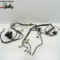 Faisceau électrique Aprilia 650 starck 6.5 1996 - CTM-11507-091