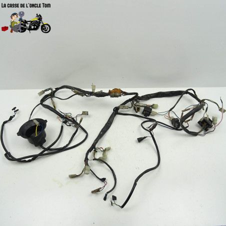 Faisceau électrique Aprilia 650 starck 6.5 1996 - CTM-11507-091