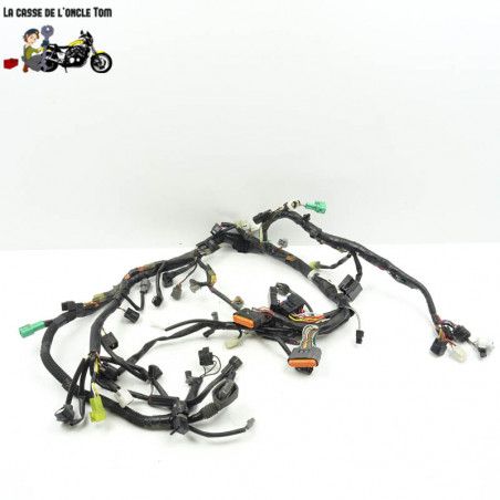 Faisceau électrique Suzuki 750 GSR 2012 - CTM-10880-042