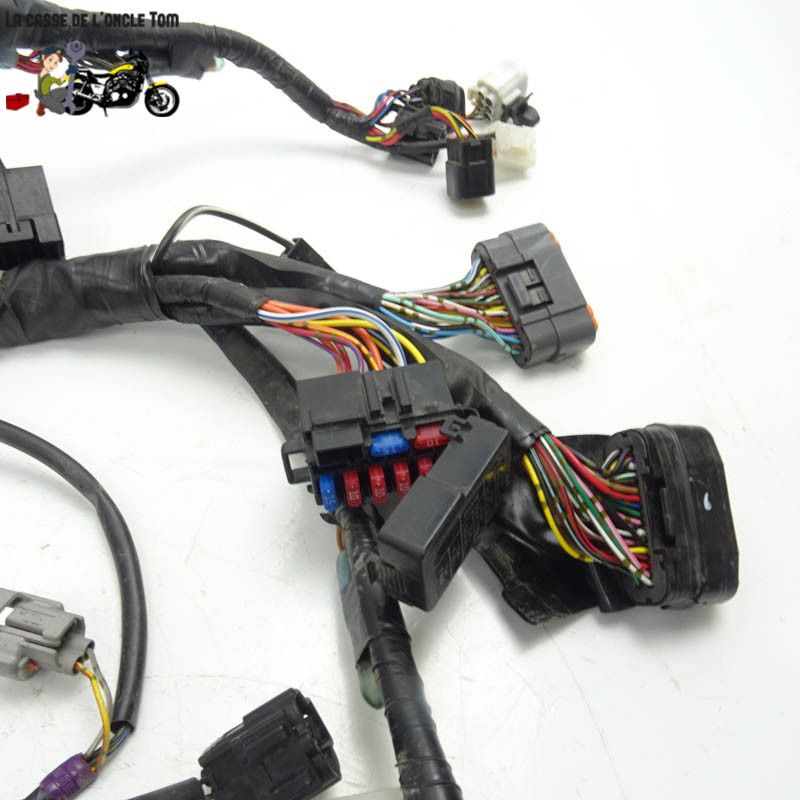 Faisceau électrique Suzuki 750 GSR 2012 - CTM-10880-042